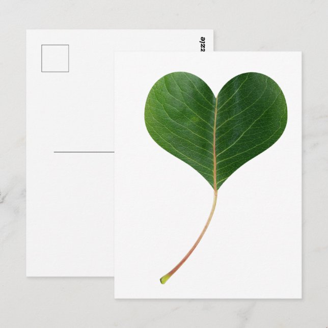 Leaf heart postcard (Front/Back)