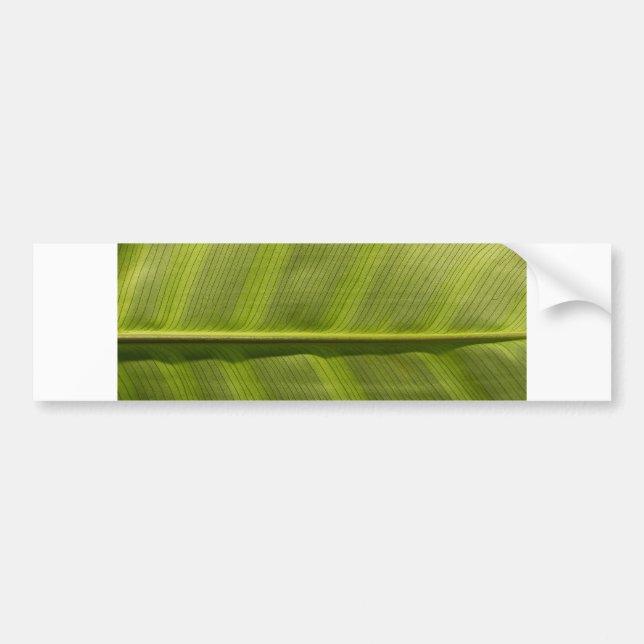 leaf it bumper sticker (Front)