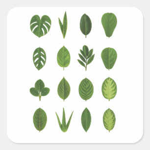 Leaf it to Nature Square Sticker