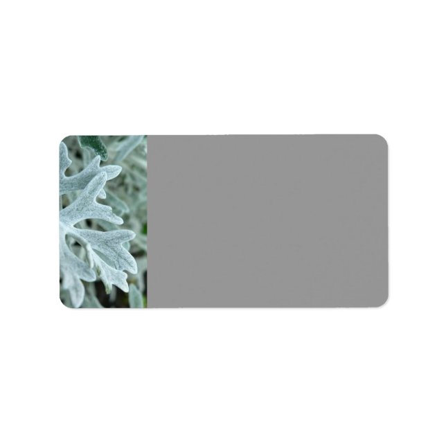 Leaf Label (Front)
