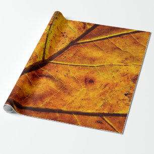 Leaf leaf veins fall texture wrapping paper