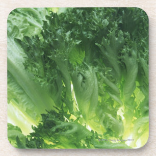 Leaf Lettuce Coaster
