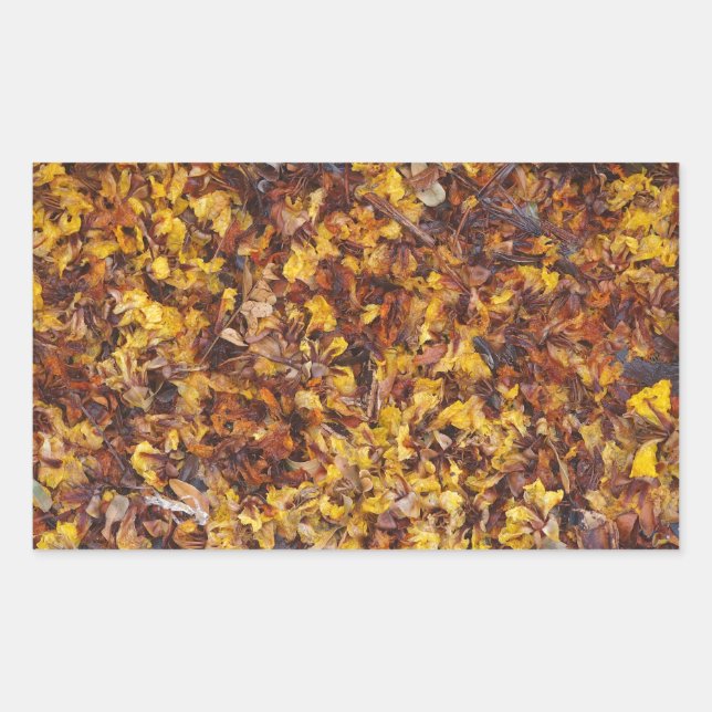 Leaf litter sticker (Front)