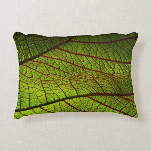 Leaf macro veins leaf veins green decorative cushion (Front)
