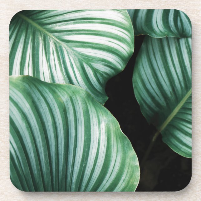 leaf me alone coaster (Front)