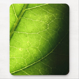Leaf Mouse Mat