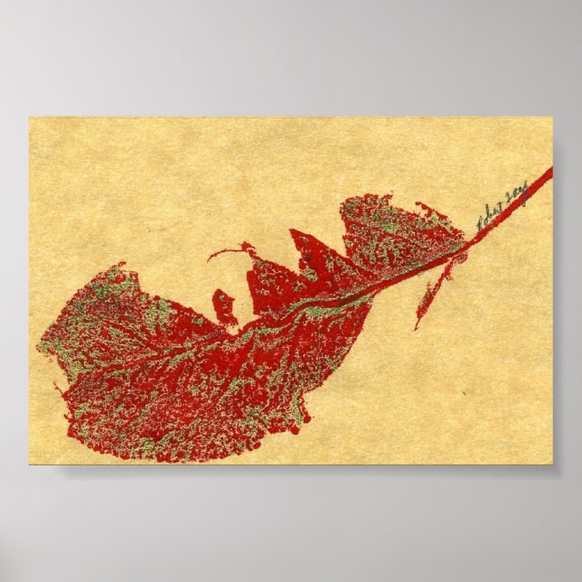 Leaf Nature Print Mini-Poster (Front)