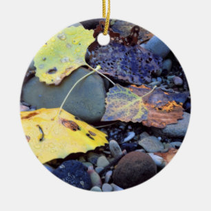 Leaf of Fremont cottonwood on flood plain Ceramic Tree Decoration