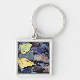 Leaf of Fremont cottonwood on flood plain Key Ring