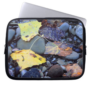Leaf of Fremont cottonwood on flood plain Laptop Sleeve