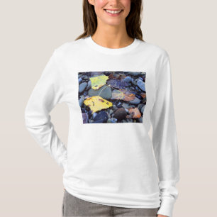 Leaf of Fremont cottonwood on flood plain T-Shirt
