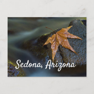 Leaf of Gold in Sedona, Arizona Postcard