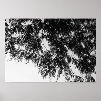 Leaf overhang poster