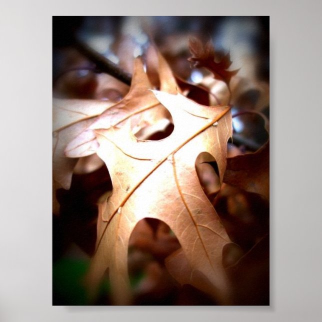 Leaf. Poster (Front)