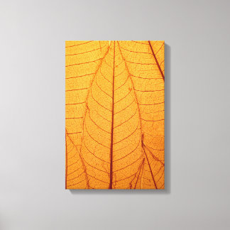 Leaf Print
