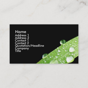 Leaf Rain Drops Business Card
