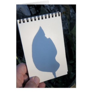 Leaf Shadow 2014