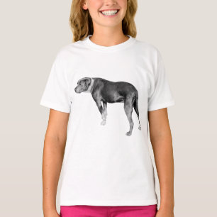 Leaf-Shadow Steadiness T-Shirt