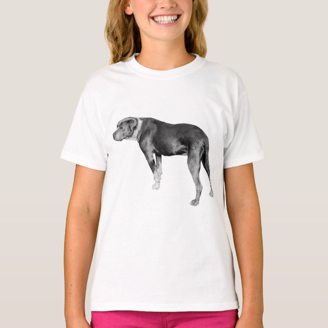 Leaf-Shadow Steadiness T-Shirt (Front)