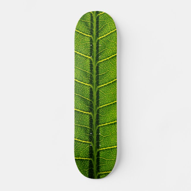 Leaf Skateboard (Front)