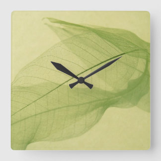 Leaf skeleton shadows square wall clock