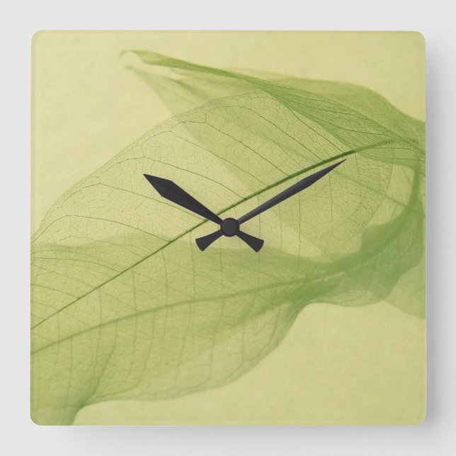 Leaf skeleton shadows square wall clock (Front)