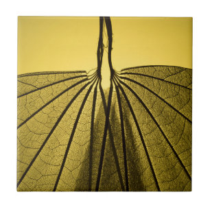 Leaf Skeleton Tile