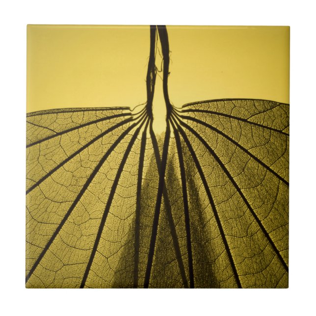Leaf Skeleton Tile (Front)