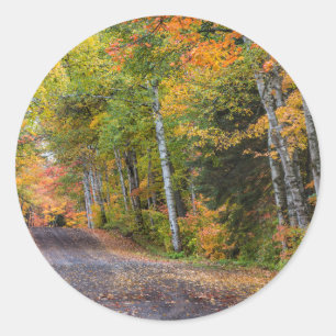 Leaf Strewn Gravel Road With Autumn Colour Classic Round Sticker