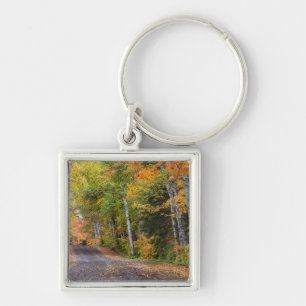 Leaf Strewn Gravel Road With Autumn Colour Key Ring