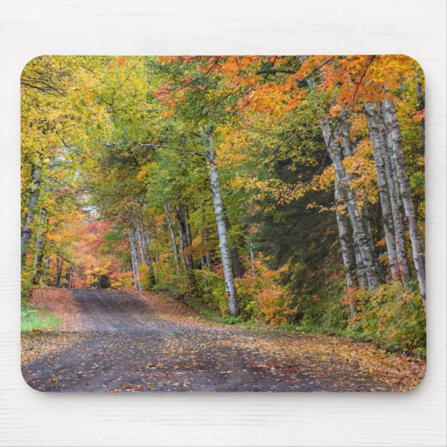 Leaf Strewn Gravel Road With Autumn Colour Mouse Mat (Front)