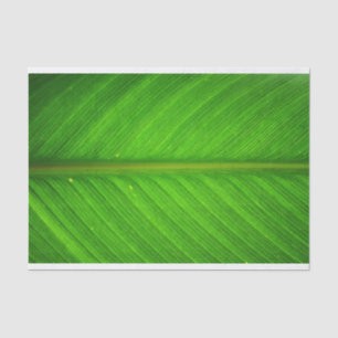 Leaf Tissue Paper