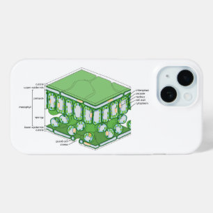 Leaf Tissue Structure Plant Cell Diagram Chart iPhone 15 Case