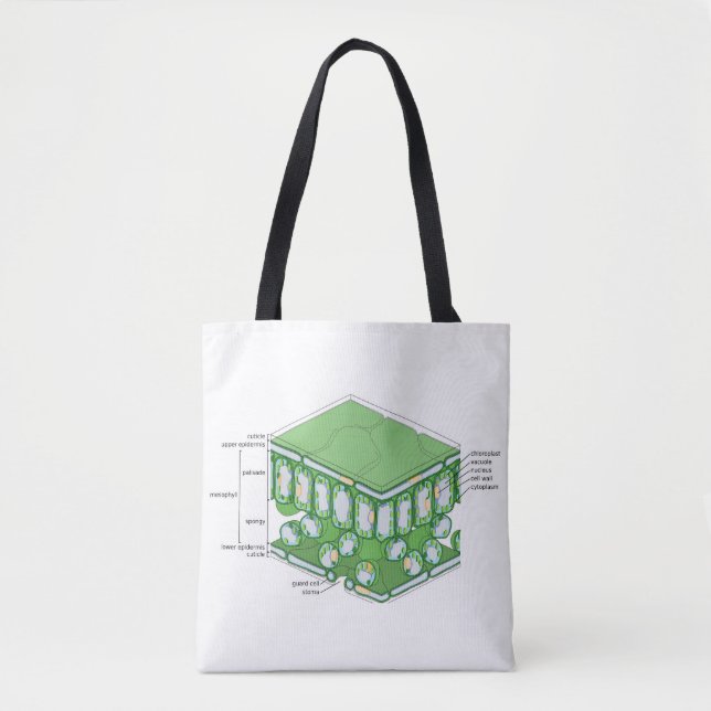Leaf Tissue Structure Plant Cell Diagram Chart  Tote Bag (Front)