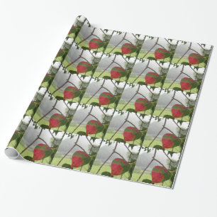 leaf turning red Fall in Florida Wrapping Paper