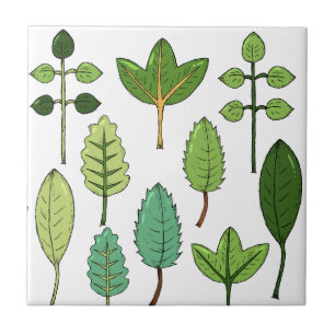 Leaf Variety Ceramic Tile