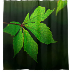 Leaf vein pattern texture plant shower curtain