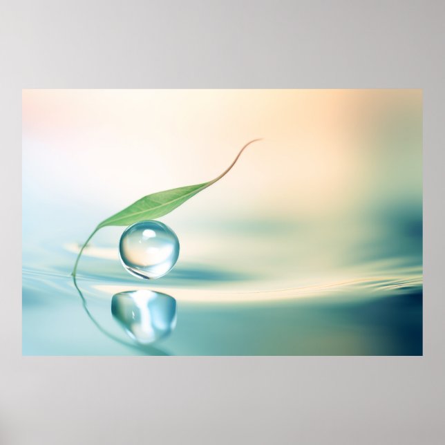 Leaf Water Drop Nature Serene Tranquil  Poster (Front)