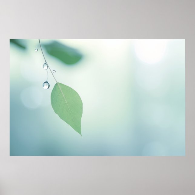 Leaf Water Drop Nature Serene Tranquil  Poster (Front)
