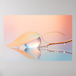 Leaf Water Drop Nature Serene Tranquil  Poster