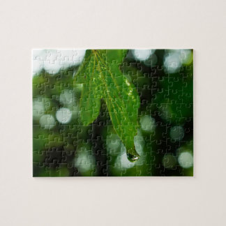 Leaf with drop of water jigsaw puzzle