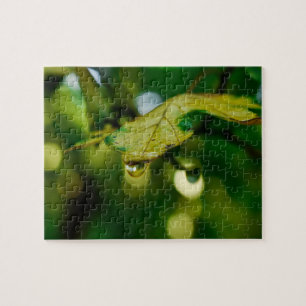 Leaf with drop of water jigsaw puzzle