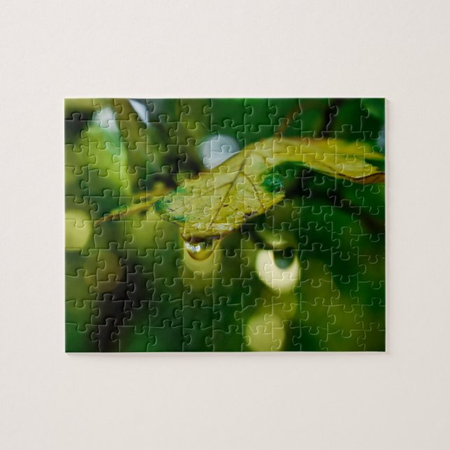 Leaf with drop of water jigsaw puzzle (Horizontal)