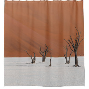 LEAFLESS TREE ON WHITE SNOW COVERED GROUND DURING  SHOWER CURTAIN