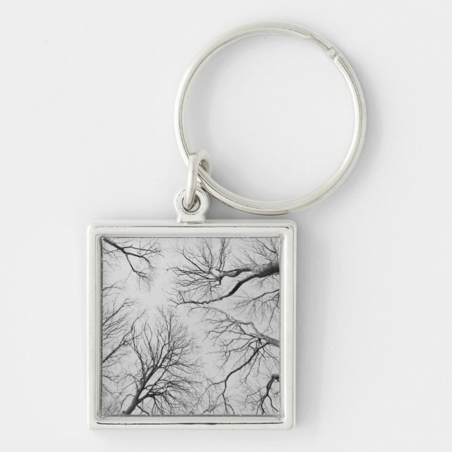 Leafless Trees in Thiepval Wood Key Ring (Front)