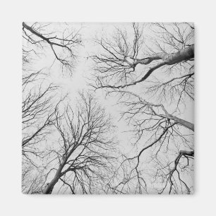 Leafless Trees in Thiepval Wood Magnet