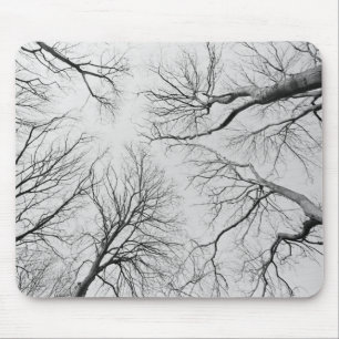 Leafless Trees in Thiepval Wood Mouse Mat