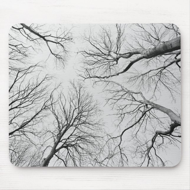 Leafless Trees in Thiepval Wood Mouse Mat (Front)