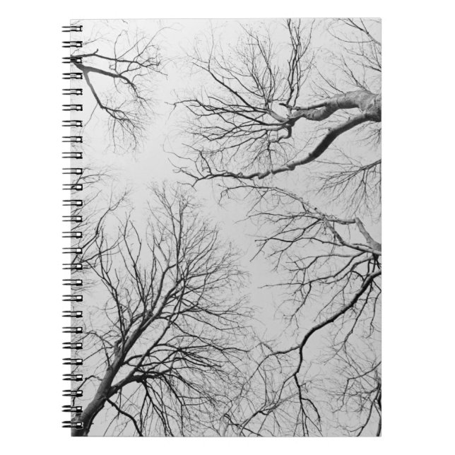 Leafless Trees in Thiepval Wood Notebook (Front)