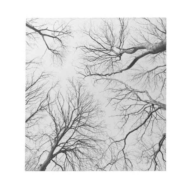 Leafless Trees in Thiepval Wood Notepad (Front)